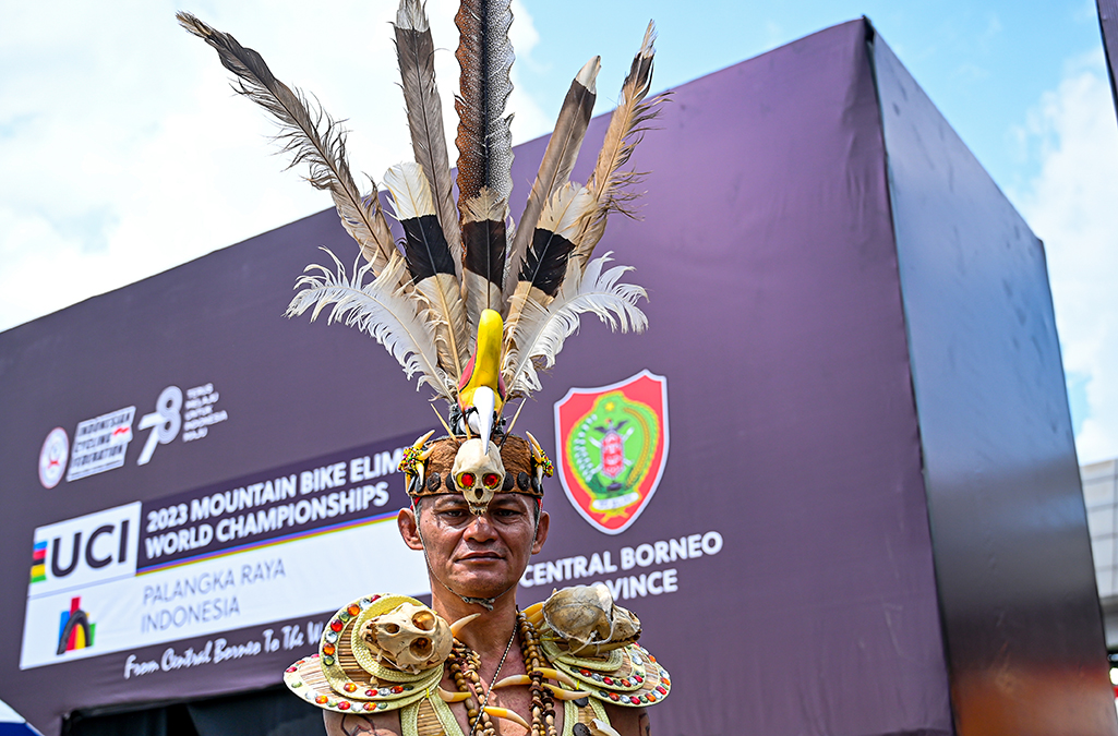 LOW N62 7720 LOW N62 7720