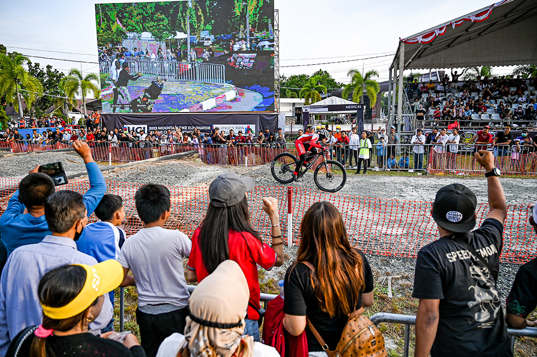 LOW N62 8306 LOW N62 8306