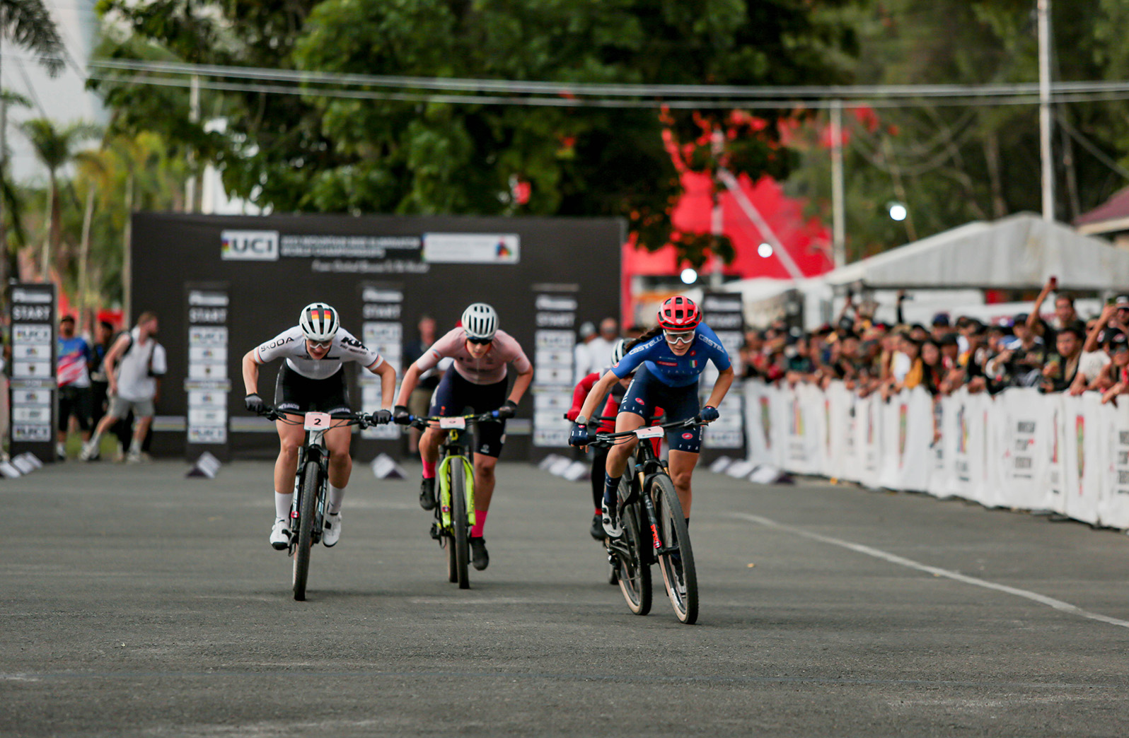 LOW NICK6644 LOW NICK6644