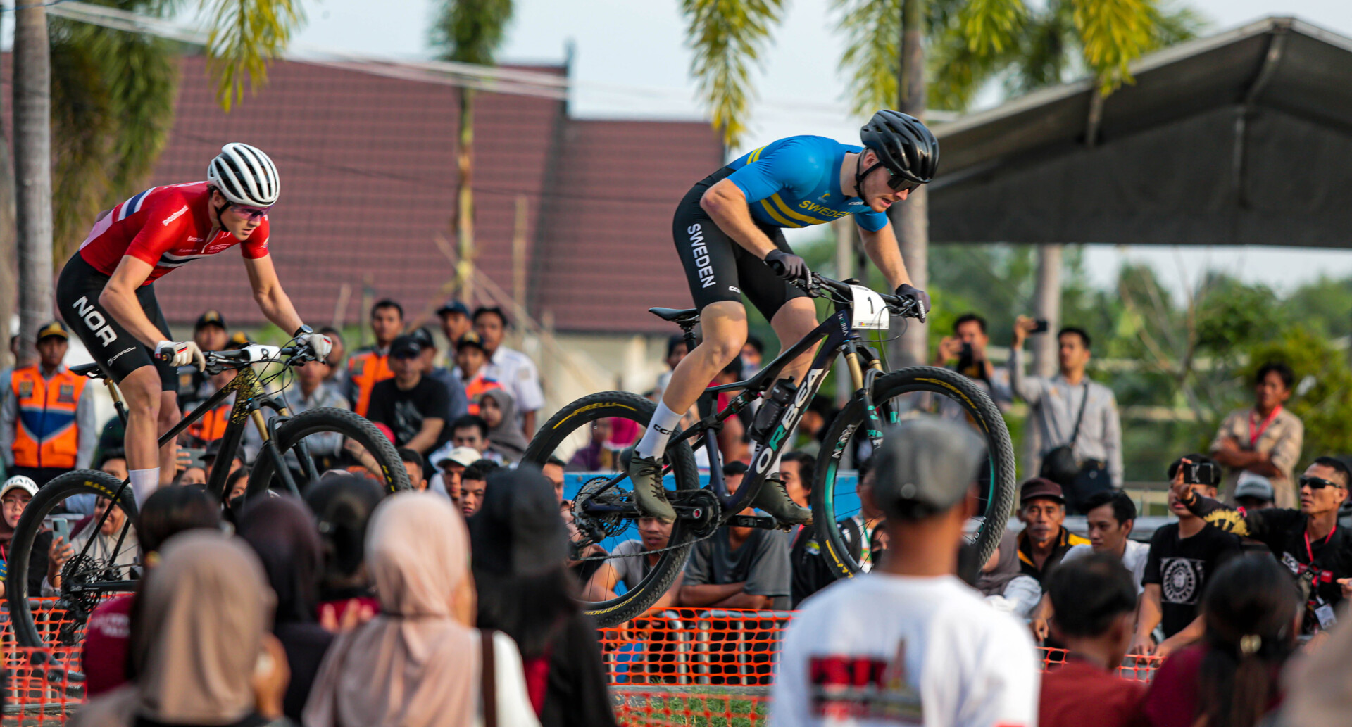 NICK6325 Web NICK6325 Web