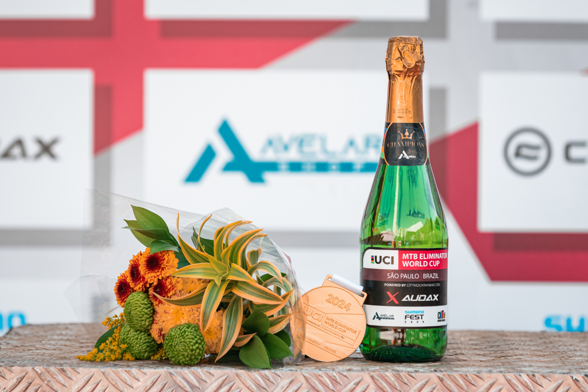 S24FEST02081 S24FEST02081